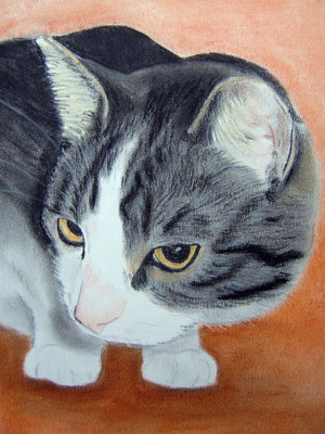 "Kimberly" Pastell auf Tonpapier DIN A4 Format 12.2006