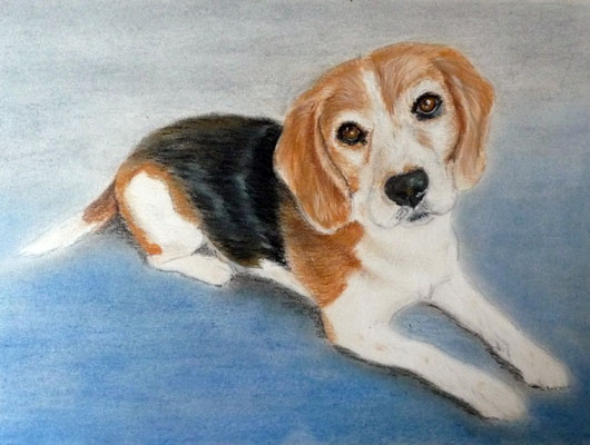 "Biene" Pastell auf Tonpapier DIN A4 Format 06.2012