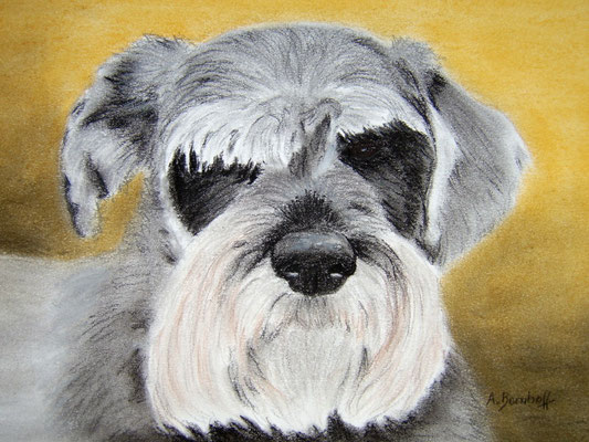 "Quax" Pastell auf Tonpapier DIN A4 Format 03.2006