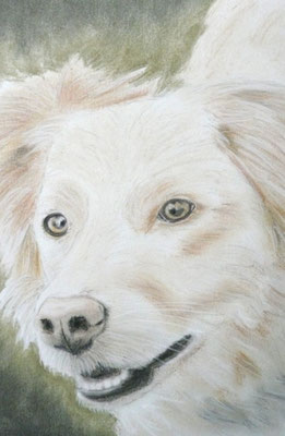 "Luna" Pastell auf Tonpapier DIN A4 Format 10.2011