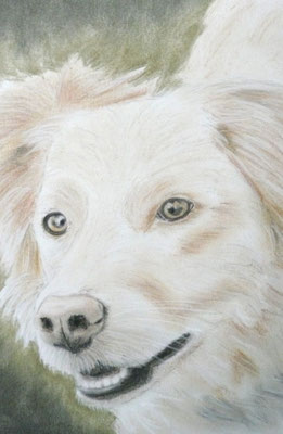 "Luna" Pastell auf Tonpapier DIN A4 Format 10.2011