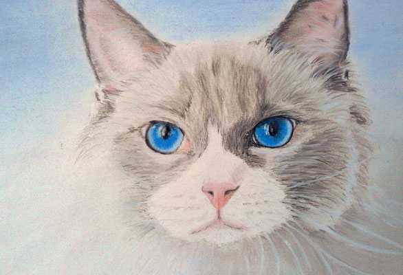 "Ashanti" Pastell auf Tonpapier DIN A4 Format 09.2015