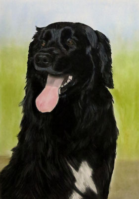"Leika" Pastell auf Tonpapier 40x30 cm 10.2013