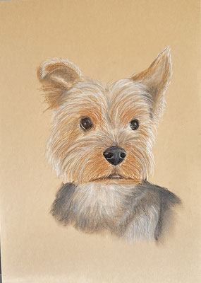 "Rusty" Pastell DinA4 09.2025