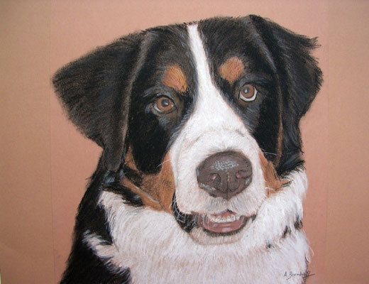 "Leon" Pastell auf Tonpapier 24x30 cm 12.2005