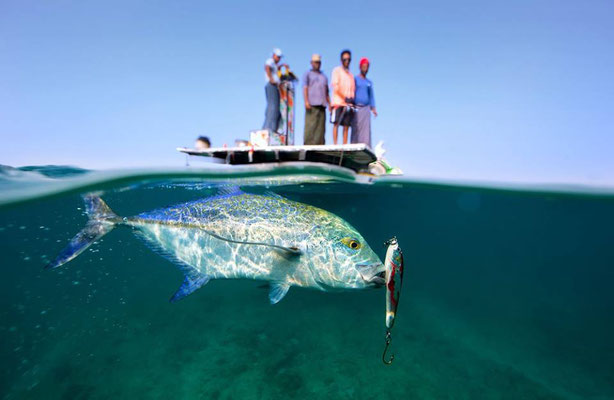 Lakshadweep Islands India Fly Nature