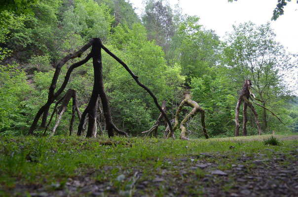 Crédit MT - Promenades près de La Buissière -  Sentiers d'Art Boucle 9 Gesves