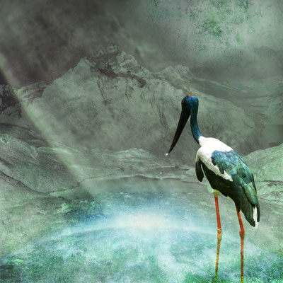 "Blauer Storch", 40 x 40 cm, 300 €