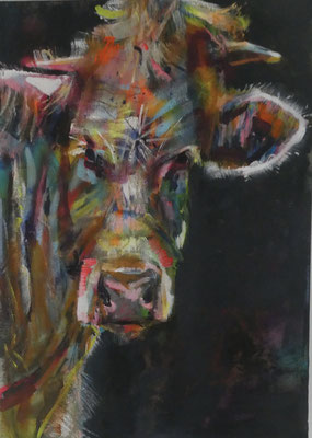 A Vaca 13,  70x50,  acrylic on canvas 