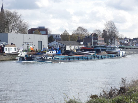 Motorvrachtschip Tempore (ENI 02316112), gebouwd in 1966 bij CNR Rupelmonde. Eerder bekend als Soli-Deo, Atol en Citius.