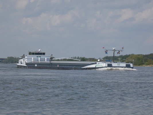 Motorvrachtschip Arcilla (ENI 02206539) boven Ewijk 