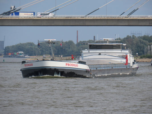 Motorvrachtschip Prodigio (ENI 06004032) op de Waal