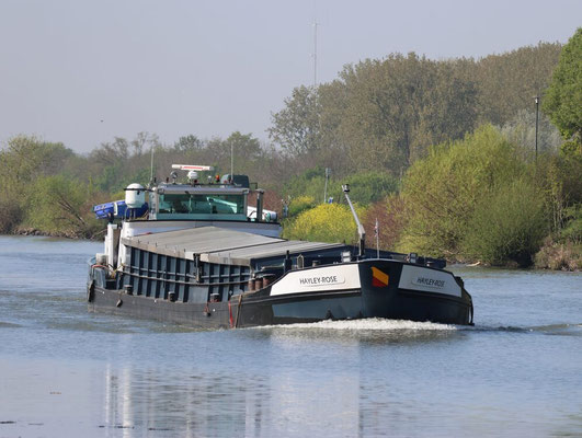 Motorvrachtschip Hayley Rose (ENI 06000480) 