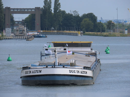 Motorvrachtschip Duc in Altum (ENI 02331380) 