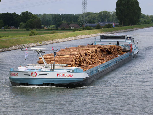 Prodigio Motorvrachtschip 