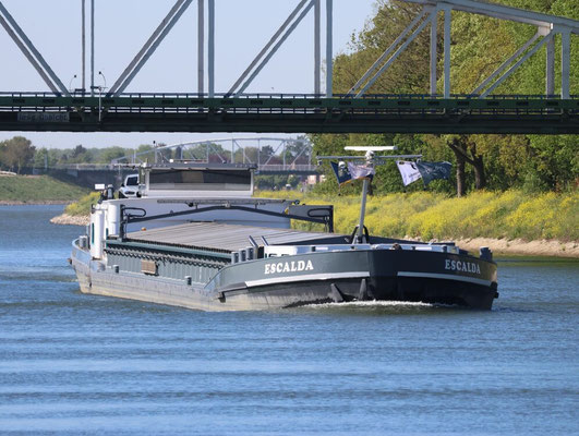 Motorvrachtschip Escalda met ENI-nummer 02327384