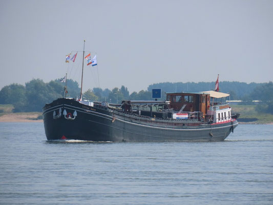Luxe motor  Terra Nova ENI 03030781 Het Motorvrachtschip Terra Nova is een uitzonderlijke "luxe motor" uit 1929