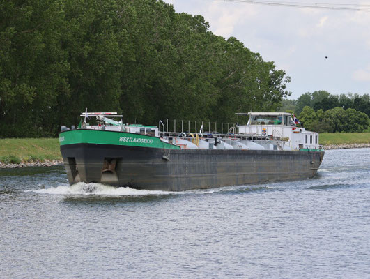 Motortankschip Westlandgracht (ENI 02104853)