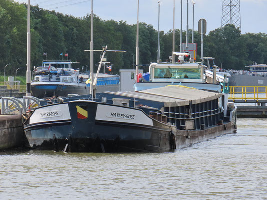 Motorvrachtschip Hayley Rose (ENI 06000480) Sluis Born