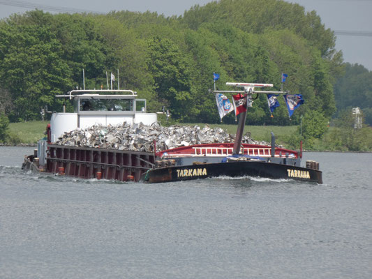 Motorvrachtschip Tarkana (ENI 06003569), gebouwd in 1959 als Ruhr 32, varend onder Belgische vlag 