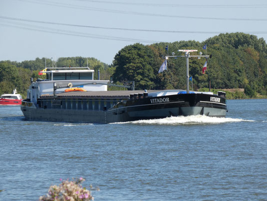 Motorvrachtschip Vitador ENI 06003533 bij Maasbracht op de Maas