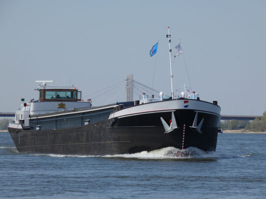 Ms Alk in de opvaart op de Waal