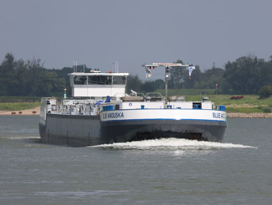 Motortankschip Blue Anouska (ENI 02339800) varend op de rivier