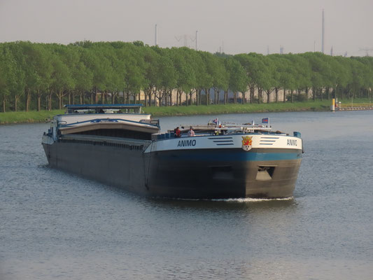 Motorvrachtschip  Animo ENI 02330050 Julianakanaal