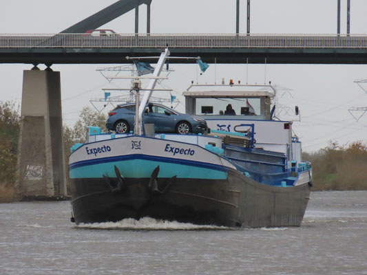 Motorvrachtschip Expecto (ENI 02312014) Foto1