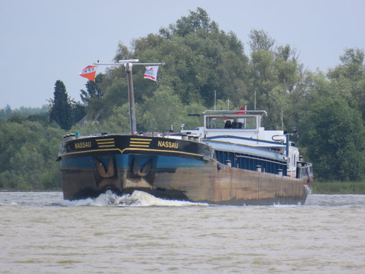 ms Nassau (ENI 02321716)