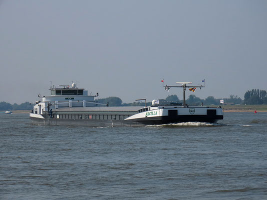 Motorvrachtschip Arcilla (ENI 02206539) Beneden Ewijk