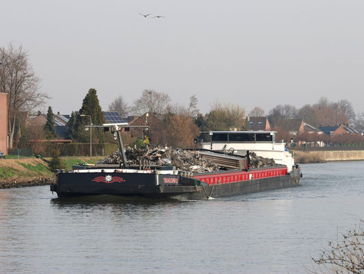 mvs Dragonfly