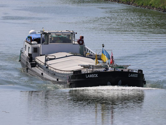 Motorvrachtschip Lambik met ENI-nummer 02311597, varend onder Belgische vlag, voorheen Morgenster, Roerdomp, Francina en Patria.