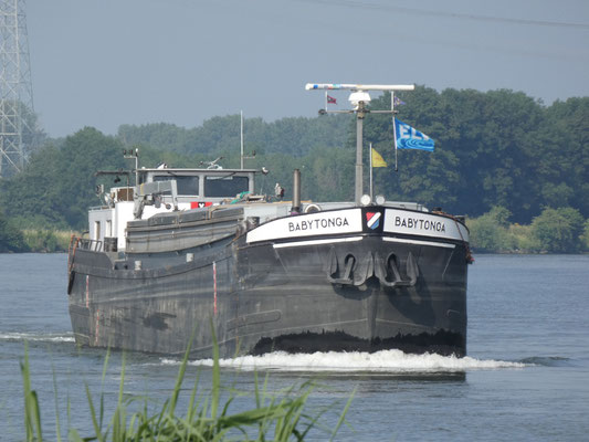 Motorvrachtschip Babytonga met ENI-nummer 02319054, een spits uit 1961, varend onder Nederlandse vlag.