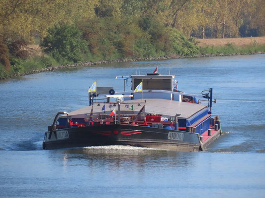 Motorvrachtschip Amicitia ENI 02321851 De Amicitia is een motorvrachtschip gebouwd in 1962 