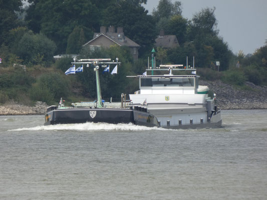 Motorvrachtschip Adriaan Pieter (ENI 02327246) varend op de Waal bij Millingen