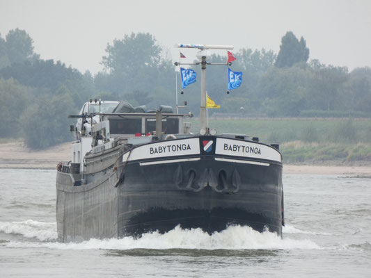 Motorvrachtschip Babytonga met ENI-nummer 02319054