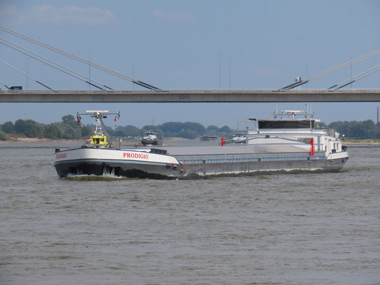 Motorvrachtschip Prodigio (ENI 06004032) beneden Ewijk