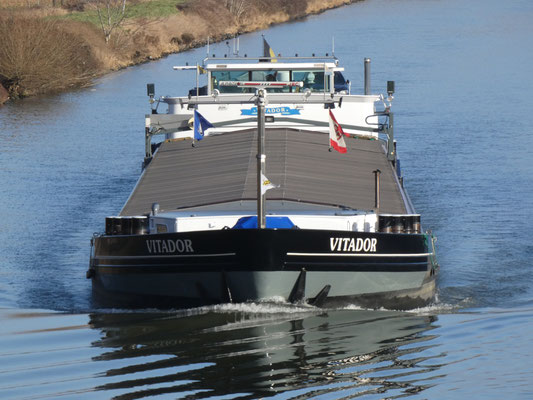 ms Vitador ENI 06003533