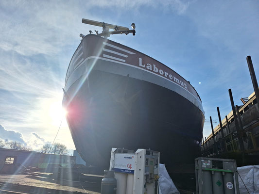 Motorvrachtschip Laboremus aan het repareren bij Scheepswerf Maasbracht.