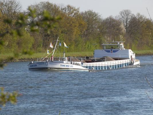 Motorvrachtschip Theresia met ENI-nummer 03110611 JuKa Foto 1