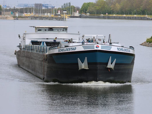 Motorbeunschip Scheldestad met ENI-nummer 06002614, varend onder Belgische vlag,