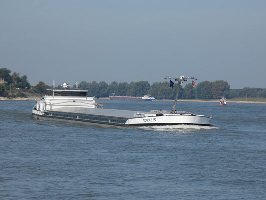 ms Novalis in de opvaart op de Waal bij Millingen.
