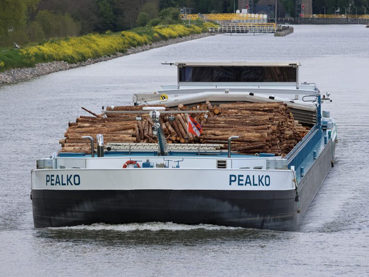 ms Pealko met ENI-nummer 02330440,
