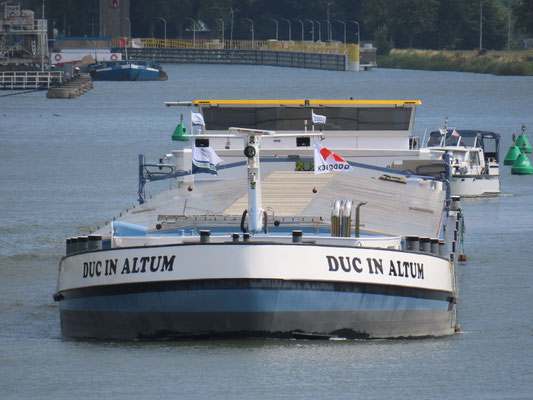 Motorvrachtschip Duc in Altum (ENI 02331380) Op het Julianakanaal boven Born foto 2