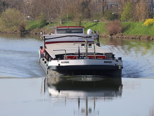 Motorvrachtschip Morpheus ENI 02007196 in de Lente