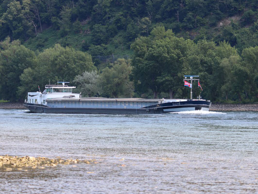 Motorvrachtschip Salvé (ENI 02318352) Rijn bij Spay