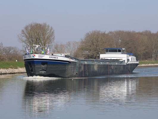 mbs Andrea
