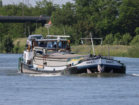 Motorvrachtschip (motorspits) Avanti, ENI 03170547, gebouwd in 1957, varend op Nederlands binnenwater.