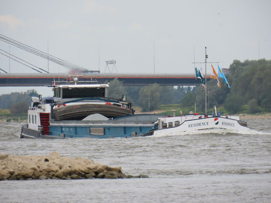 Motorvrachtschip Residence in de opvaart op de Waal boven Ewijk.